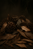 The Seasonal Shift | 2025 Seasonal Collection