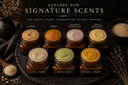 Sample Set | Body Scrub | 7 Signature Scents | Wholesale