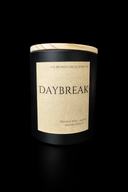 Candle | Orange Peel, Agave, Sugar, Peach