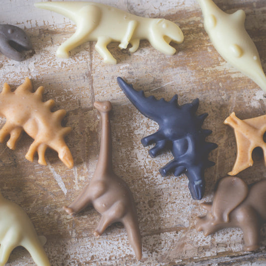 Dinosaur Kid Soap Bundles